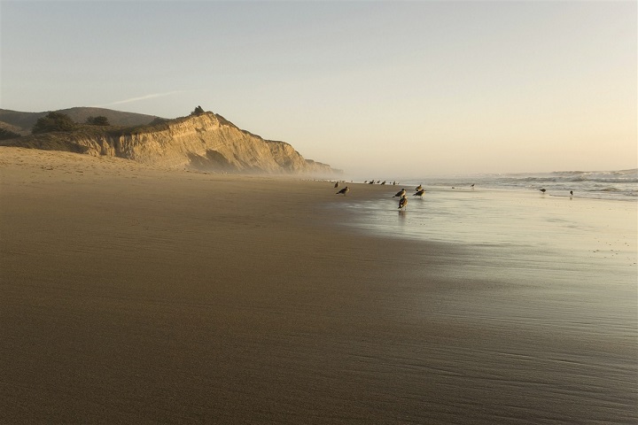 Plage de Big Sur