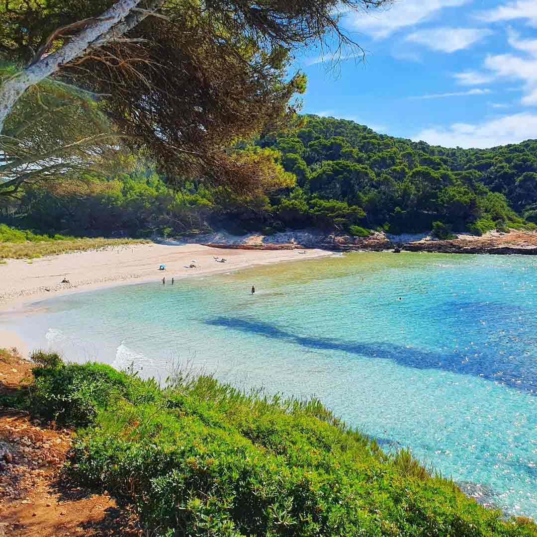 plage Cala Trebalúger