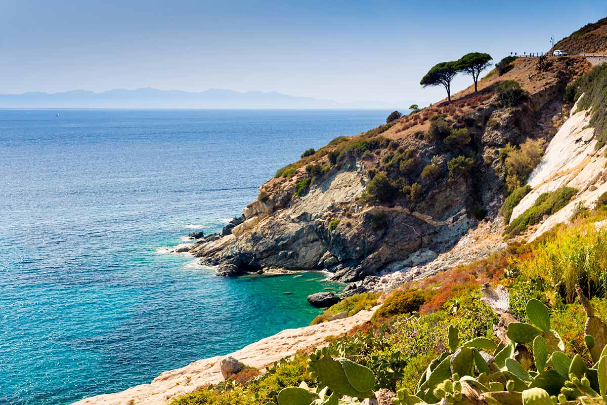 Cavoli - Ile d'Elbe - Toscane - Italie