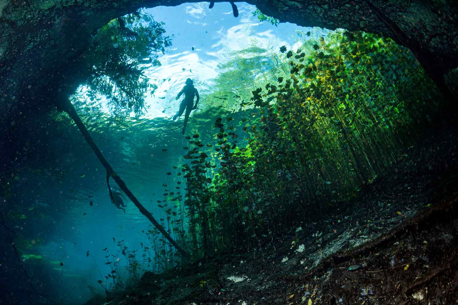 Cenote Multum Ha