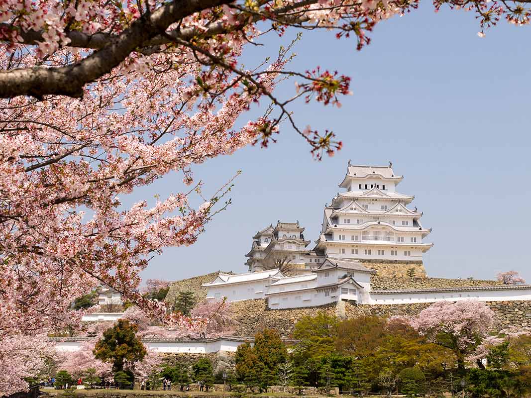 chateau d'Himeji