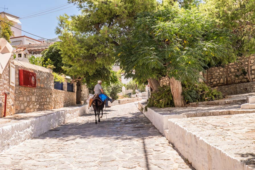 ruelle d'Hydra