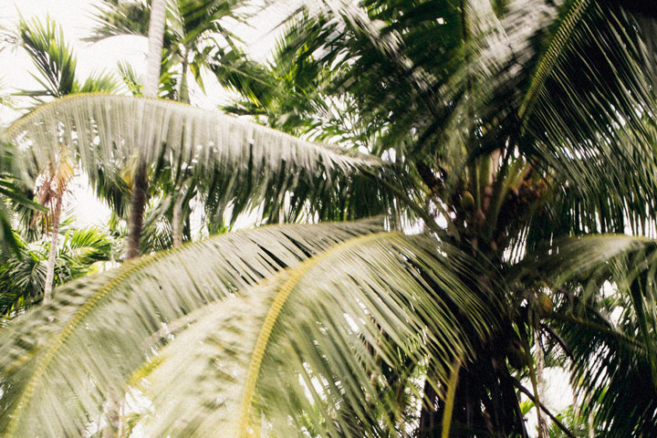 Chez un producteur de sucre de palme