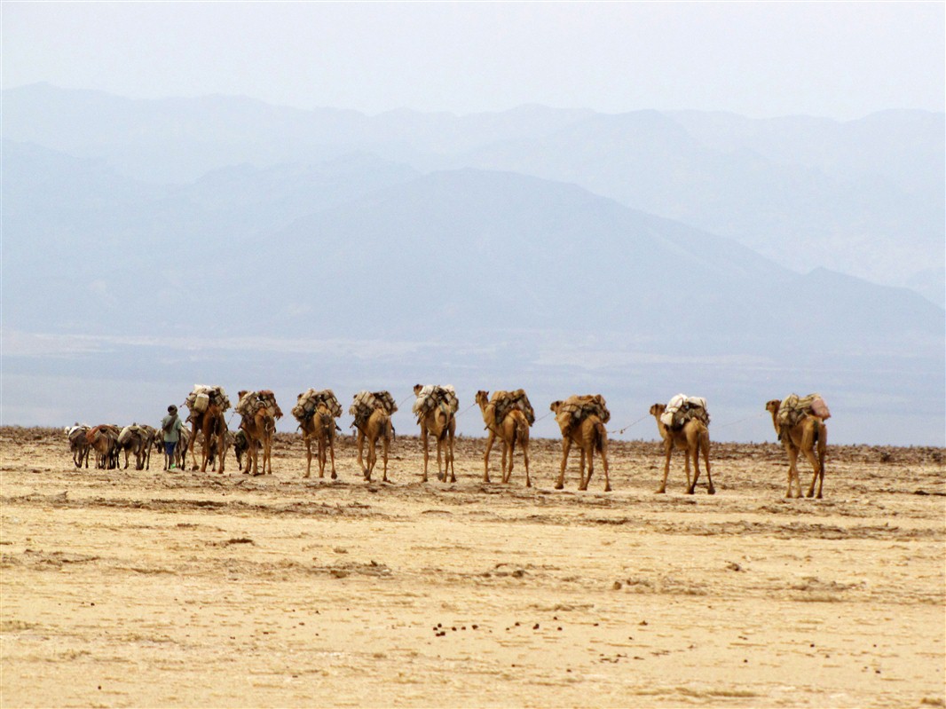 Désert du Danakil