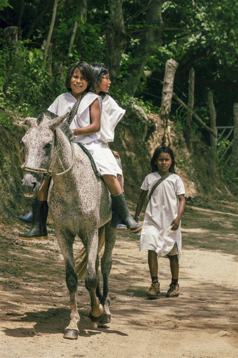 Enfants sur un cheval en Colombie