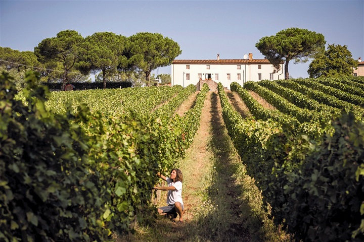 femme dans les vignes de Toscane