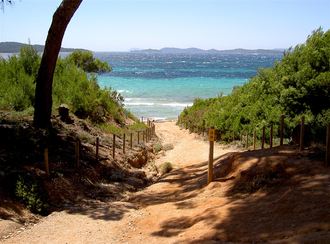 Île de Porquerolles