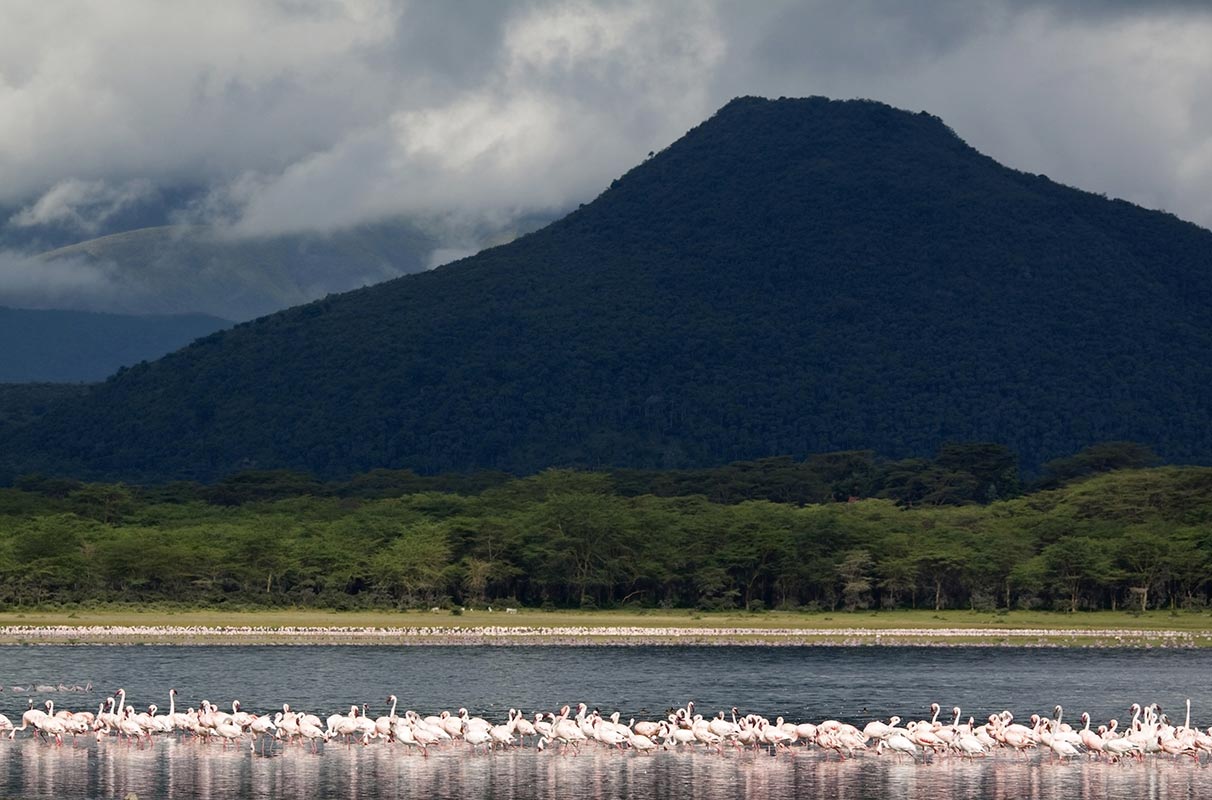 lac Naivasha