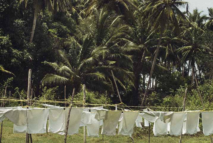 Draps qui sèchent a coté de la foret 