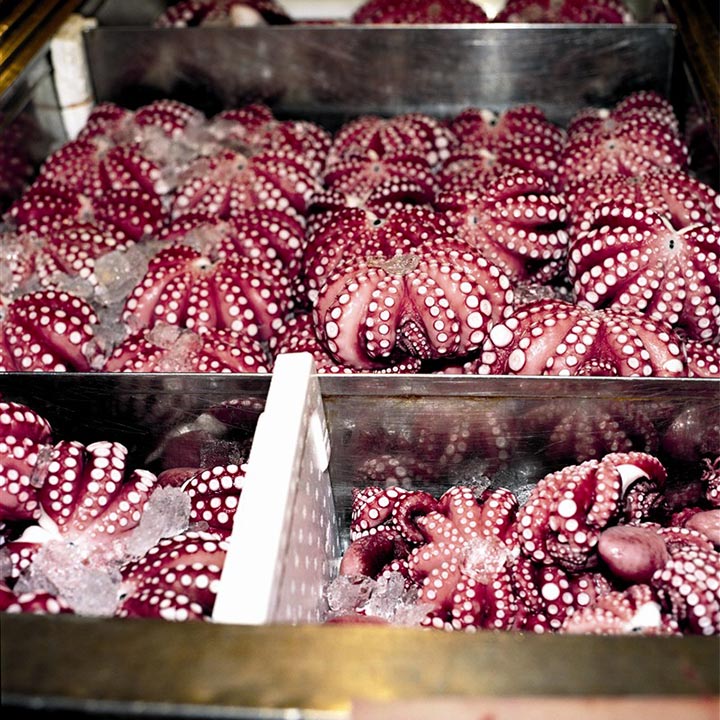 marche aux poissons au japon