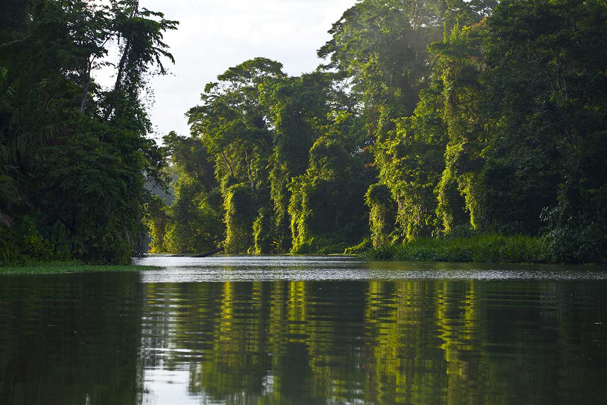 Parc de Tortuguero