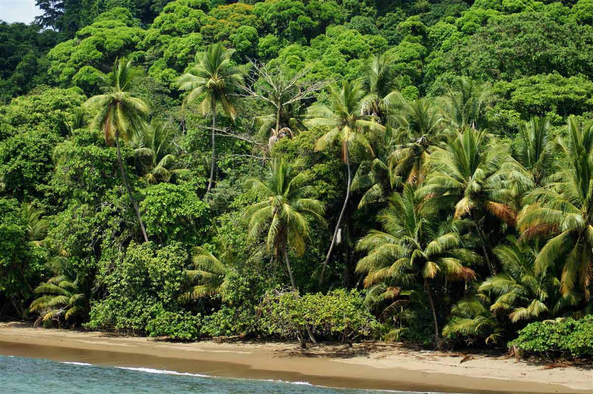 Parc national du Corcovado