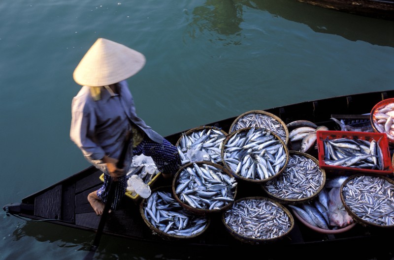 pécheur au bord de l'eau a Hoi An