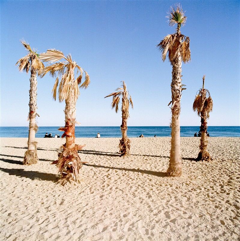 plage de La Barceloneta