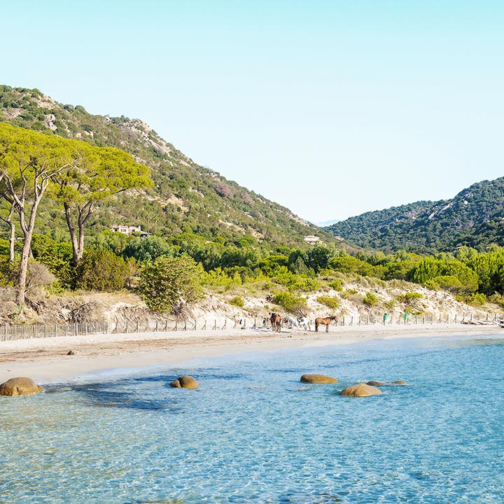 Plage de Palombaggia