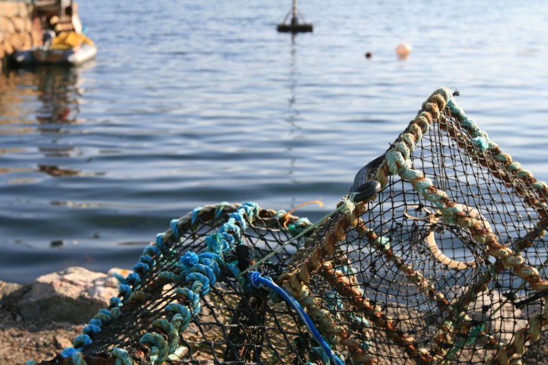 Filet de pêche en Ecosse