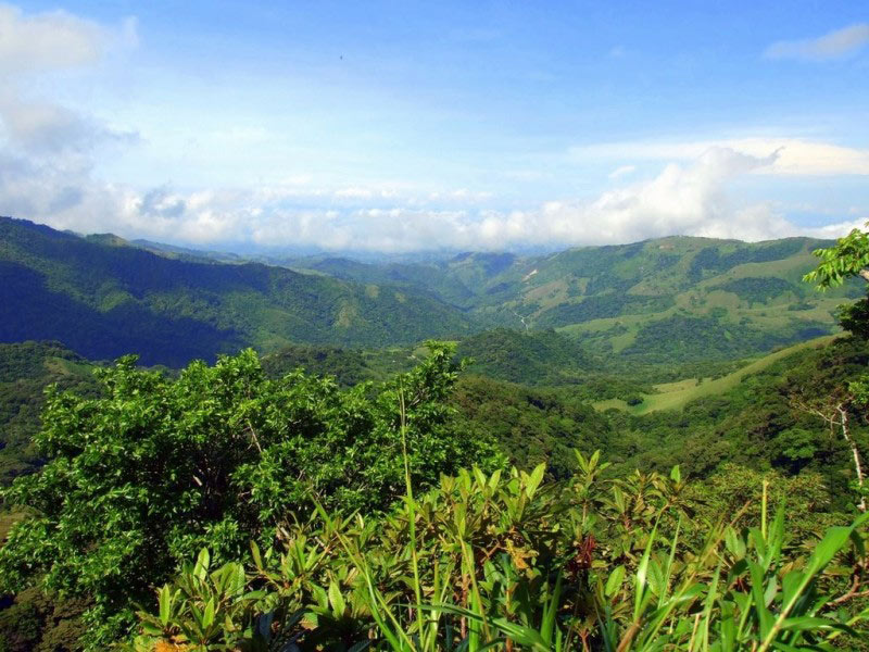 Réserve biologique de Monteverde