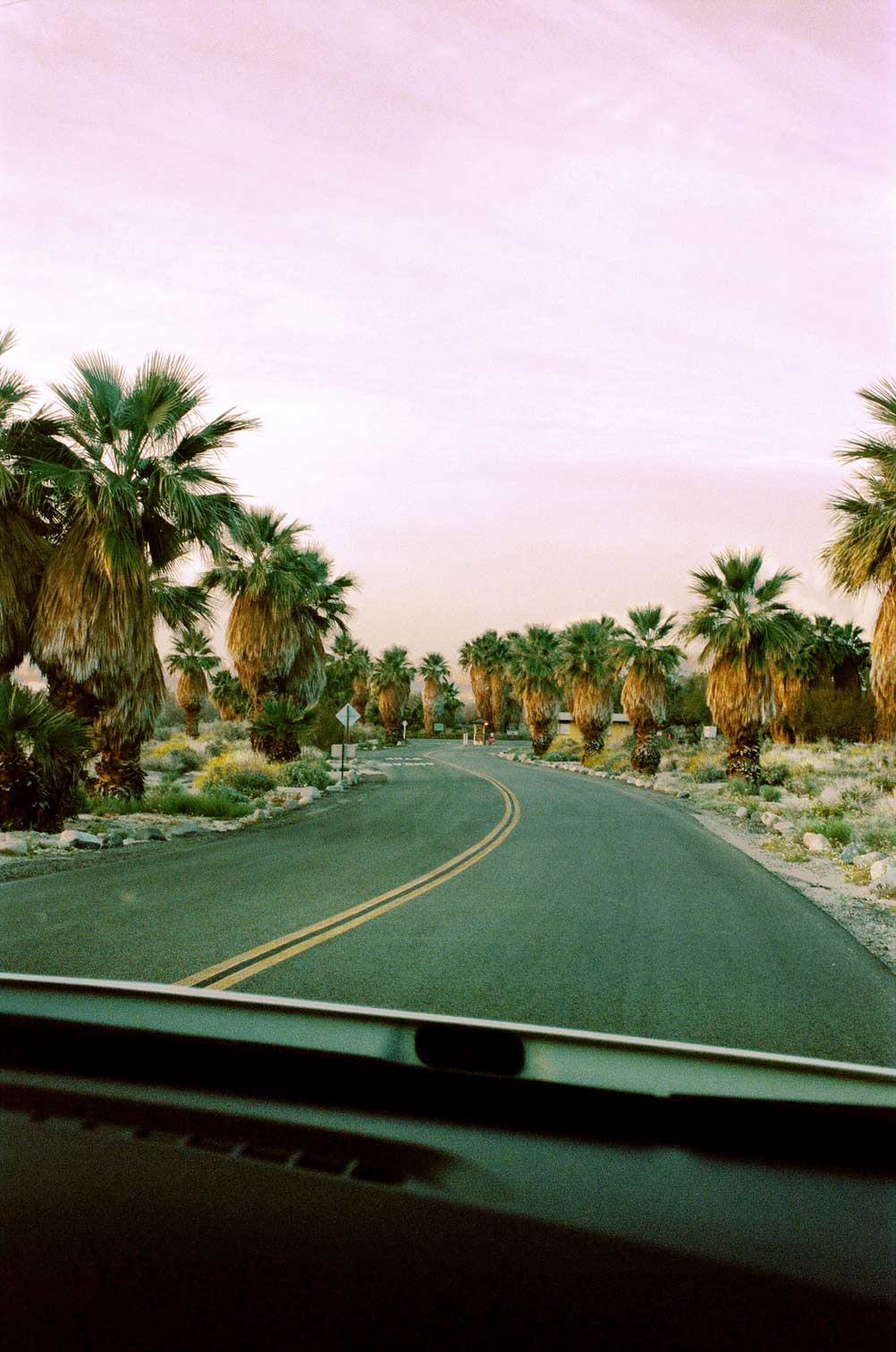 route de Joshua tree