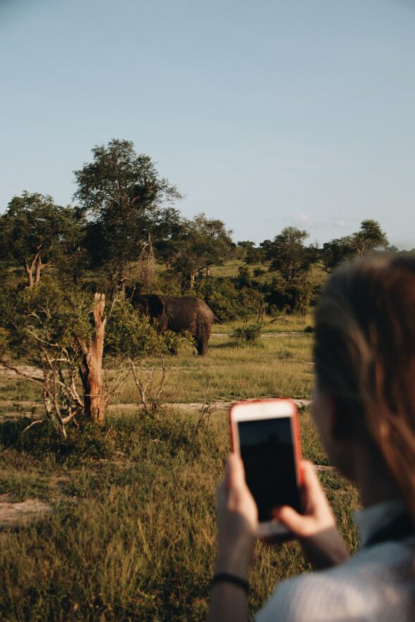 safari en famille en Afrique du sud