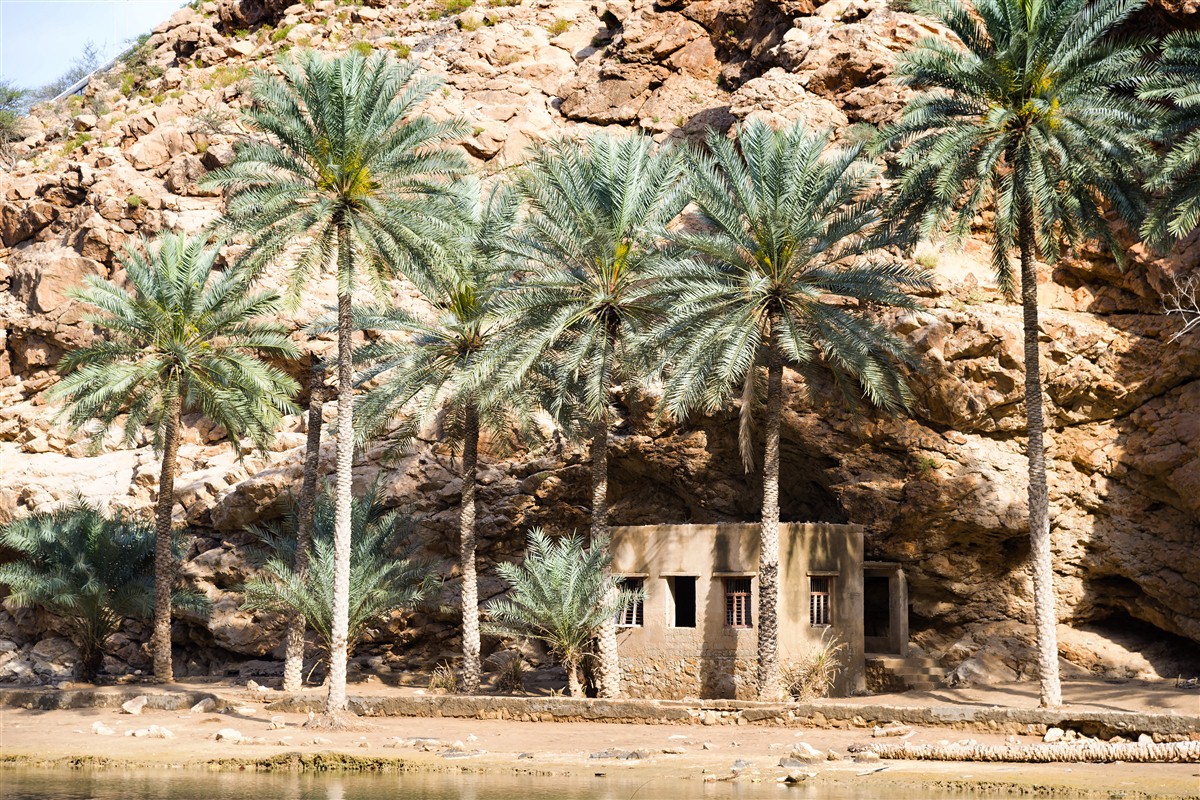 Wadi à Oman