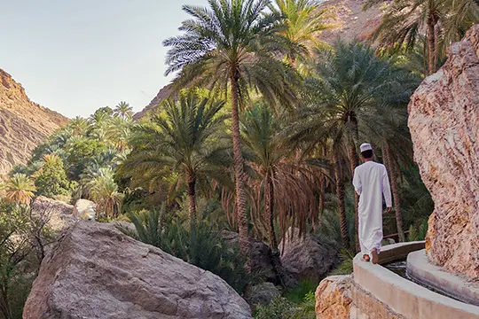 Nefaa CHELBI, Oman