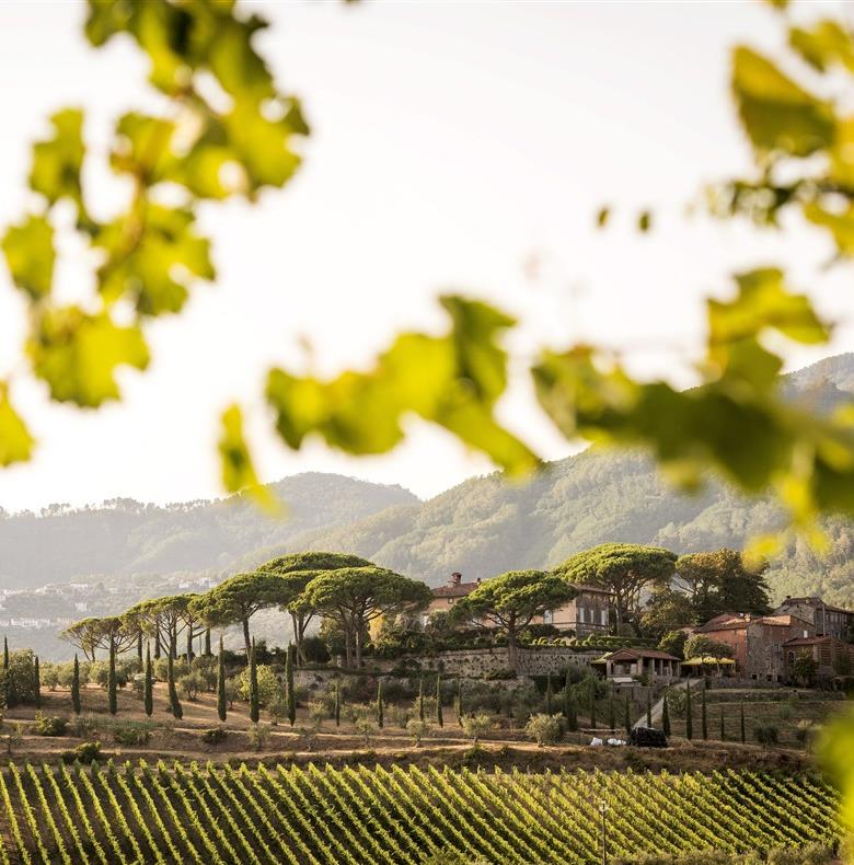 Toscane et Ombrie, l'Italie verte
