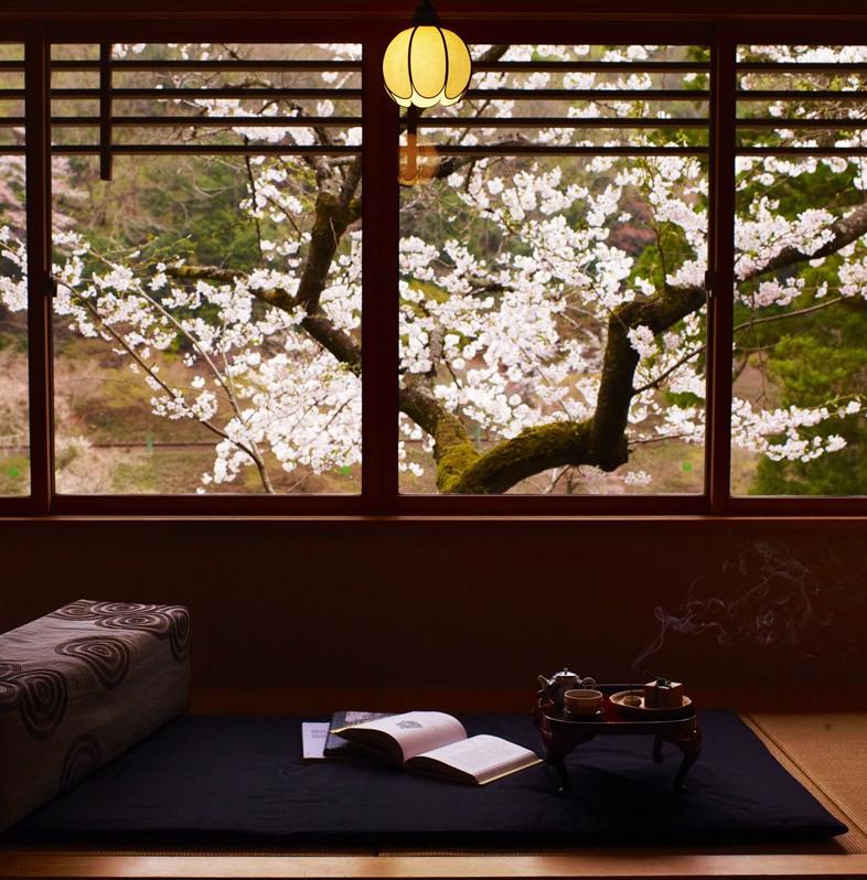 A lire avant d'aller au Japon