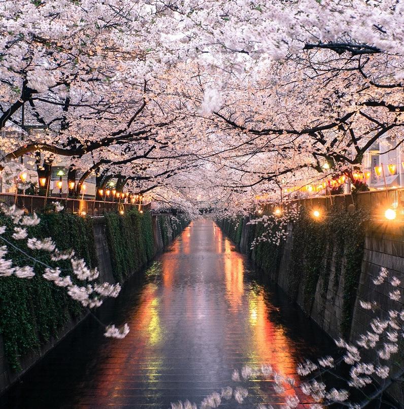 Le Japon selon les saisons