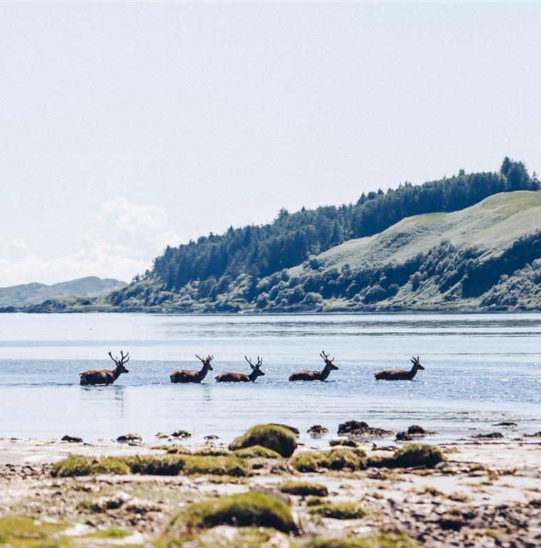 Kilt trip, un road trip dans les Hébrides