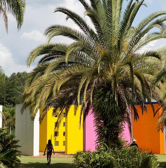 5 livres à lire avant de partir au Brésil