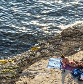 Ibiza, l'île agricool