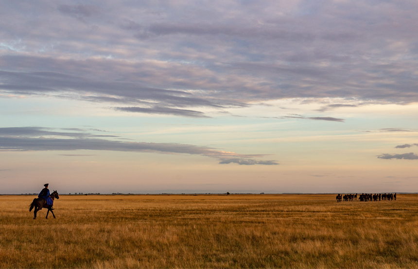 Une Hongrie pastorale méconnue
