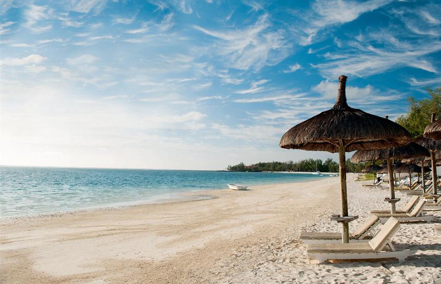 Palmar, le secret de l’île Maurice