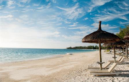 Palmar, le secret de l’île Maurice