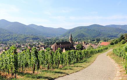 Les plus belles routes des vins en France