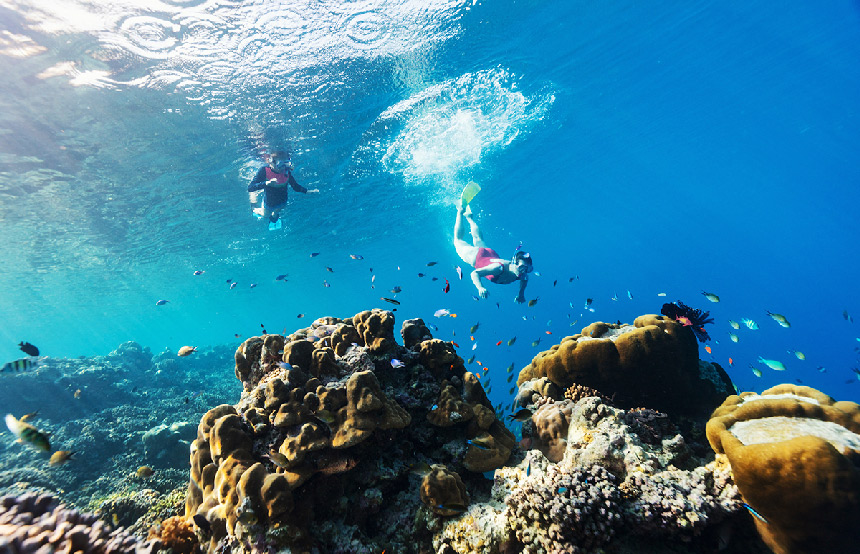 Les meilleurs spots de plongée en Polynésie