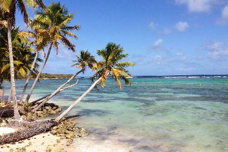 Les plus belles plages de Guadeloupe