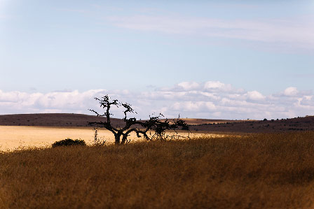 Les plus beaux parcs du Kenya