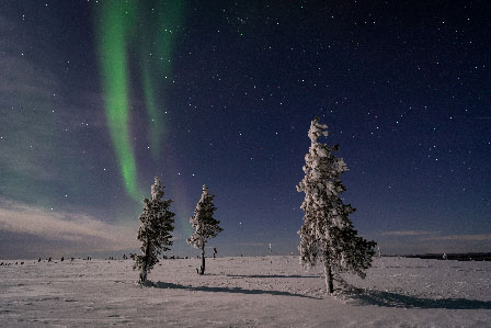 Quand voir des aurores boréales en Finlande ?