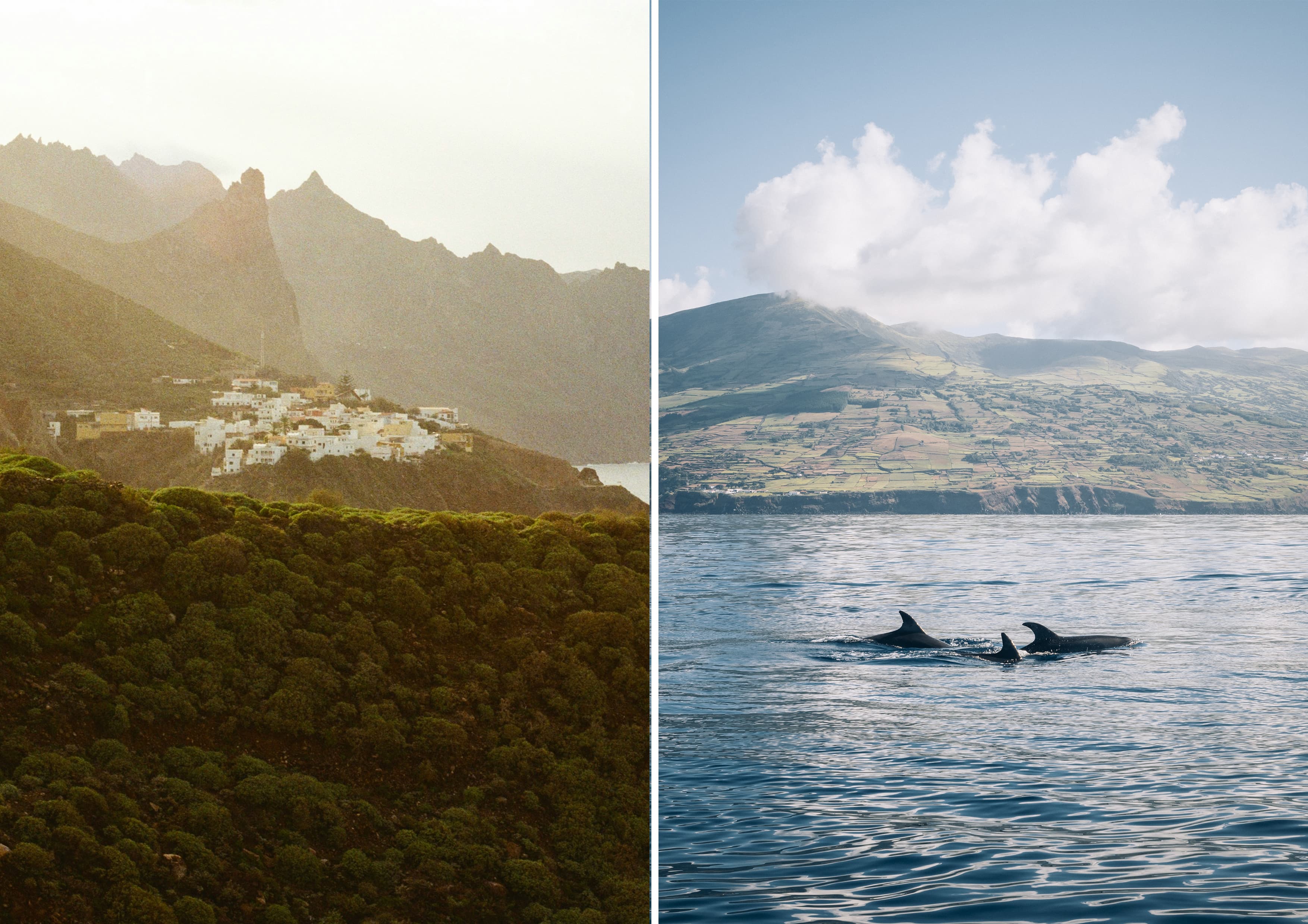 Madère vs. Les Açores : le match en 5 rounds