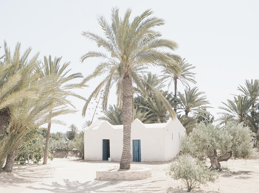 Djerba & Kerkennah : Luxuriance, calme et volupté
