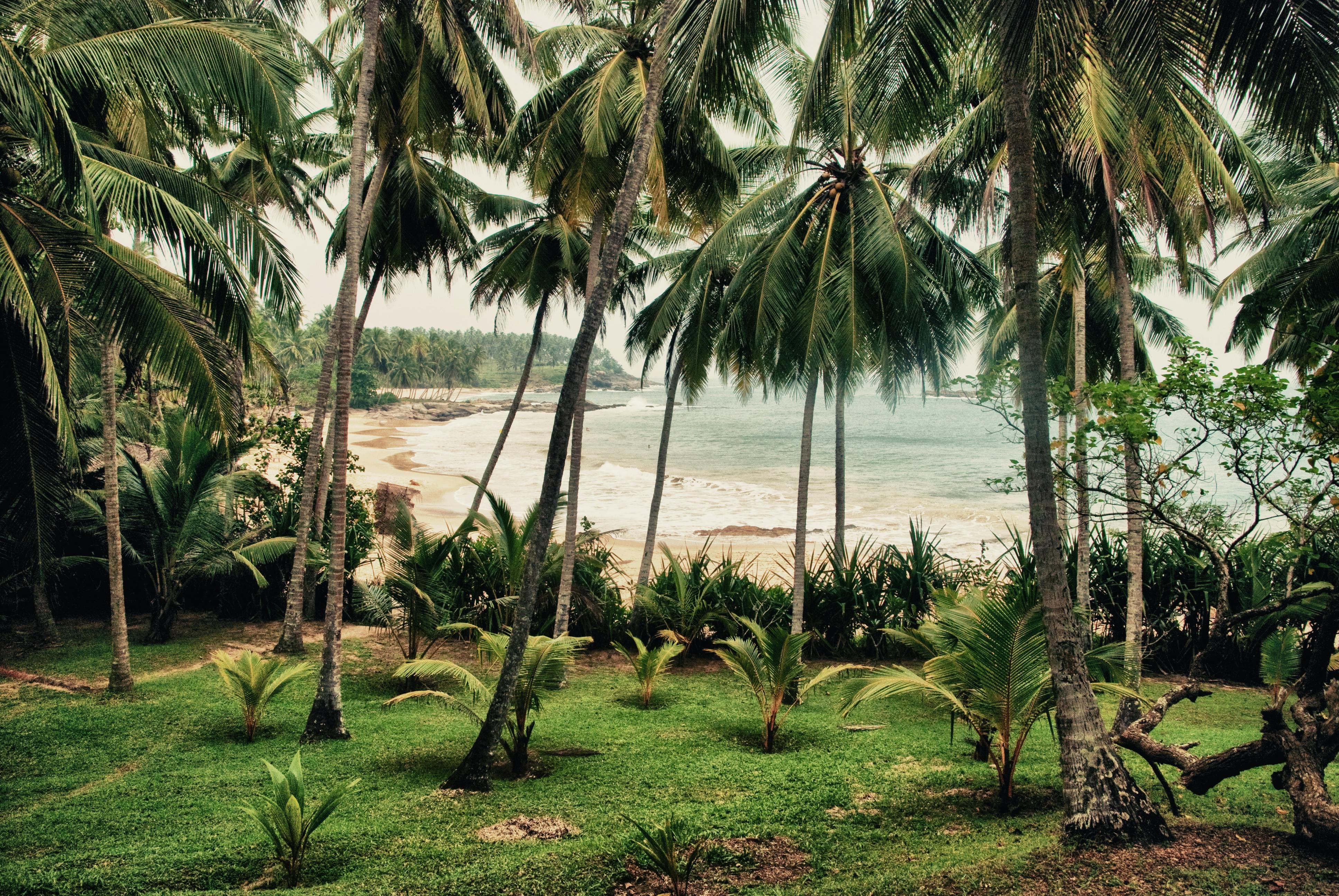 Sous les alizés de l’île aux trésors : les 10 plus belles plages du Sri Lanka