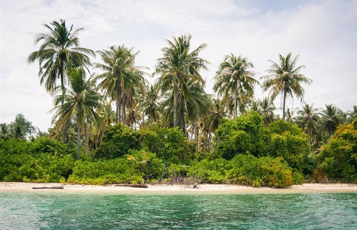 L'Indonésie d’île en île