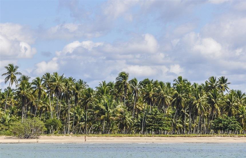Les plus belles plages de Salvador da Bahia