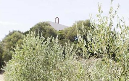 Sardaigne, l'île étendard