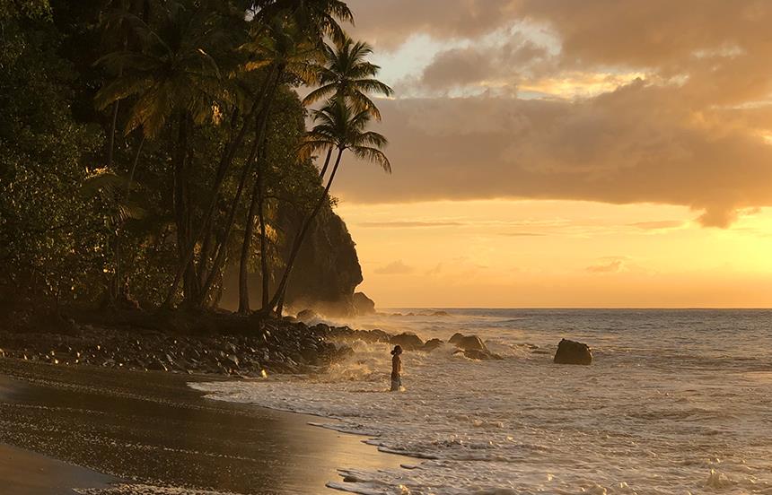 Martinique, l'île aux fleurs