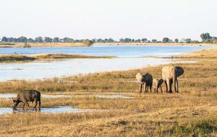 A la découverte du Botswana