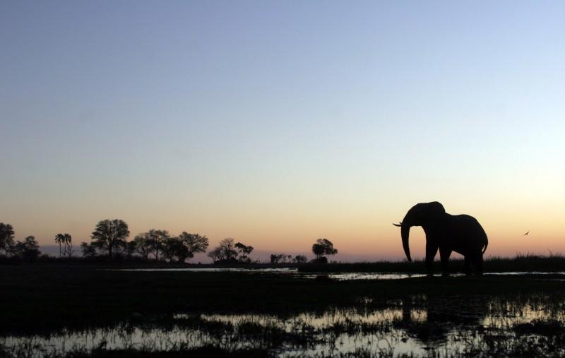 A vivre au Botswana avant qu'il ne soit trop tard