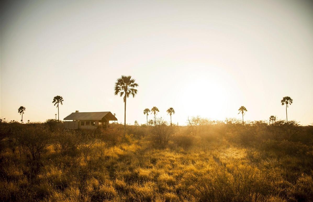 A vivre au Botswana et nulle part ailleurs.