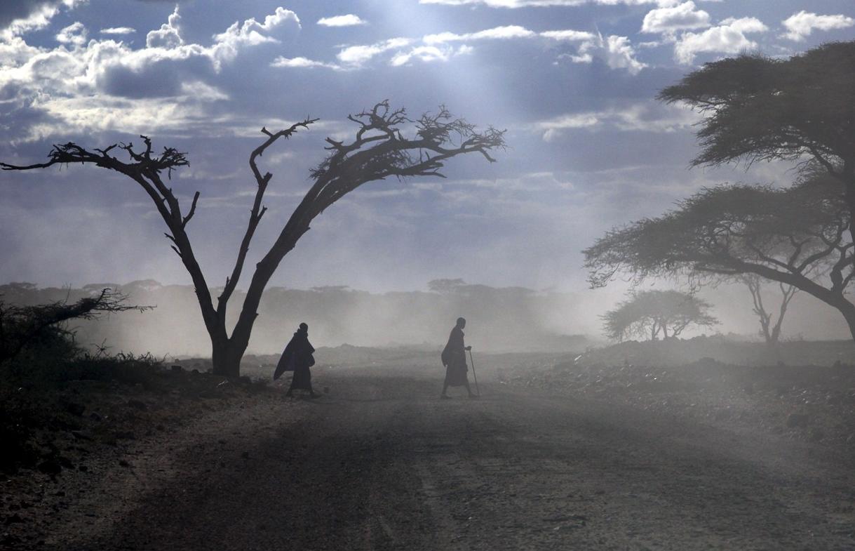 Les plus belles réserves de Tanzanie